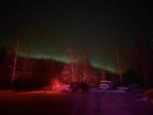 yukon quest alaska 2024 aurora