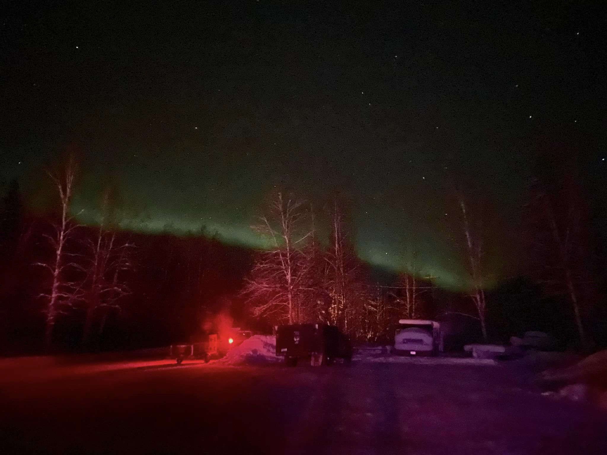 yukon quest alaska 2024 aurora